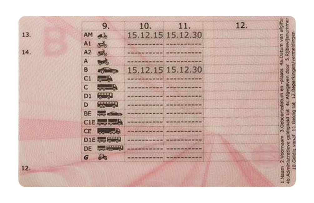 Belgian Driving License Back