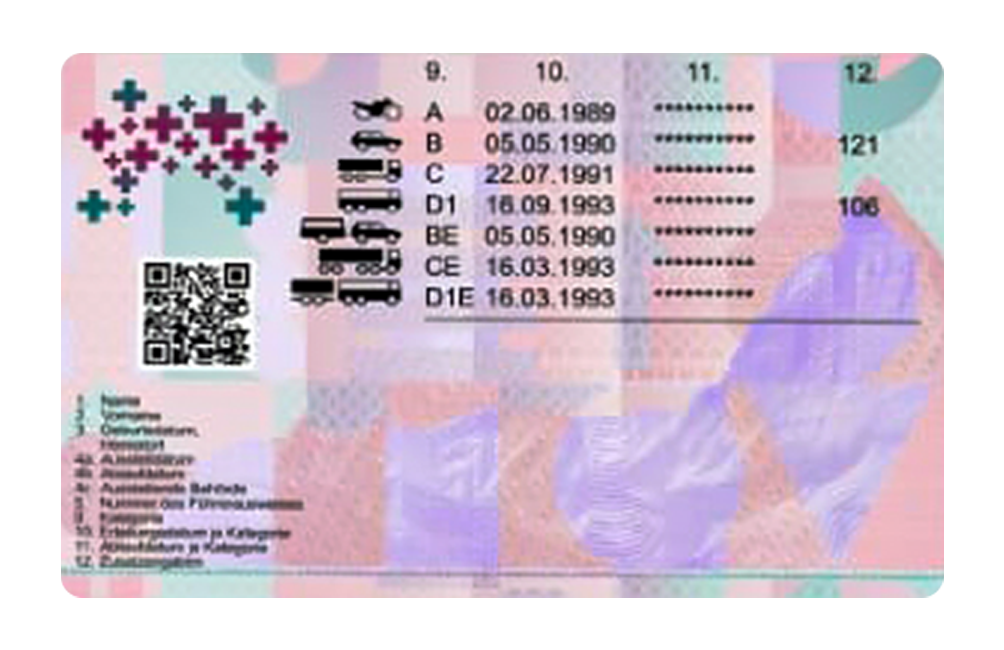 Swiss Driving License Back