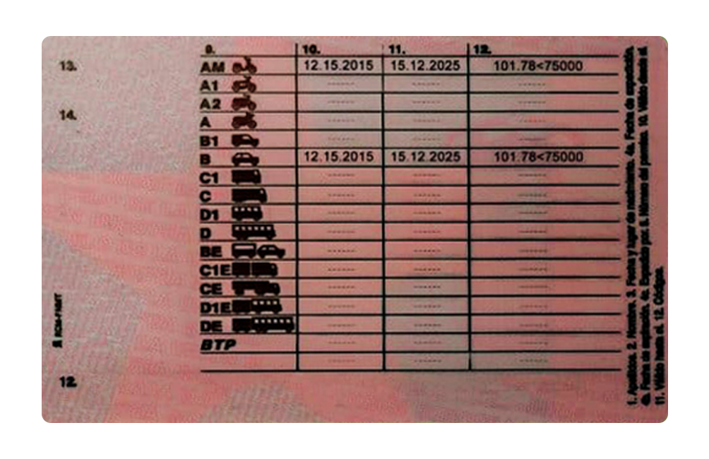 Spanish Driving License Back