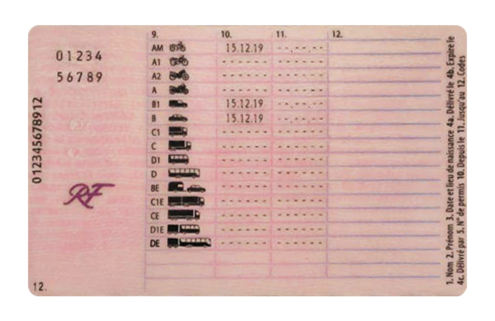 French Driving License Back